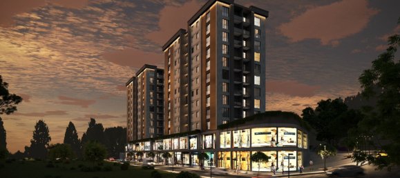 Apartment 3+1 in Istanbul, Turkey No. 25934 3