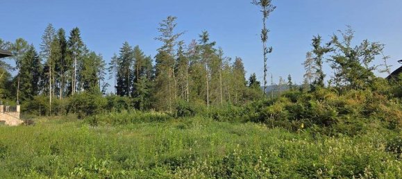 Terreno en Moosburg, Austria No. 239311 9