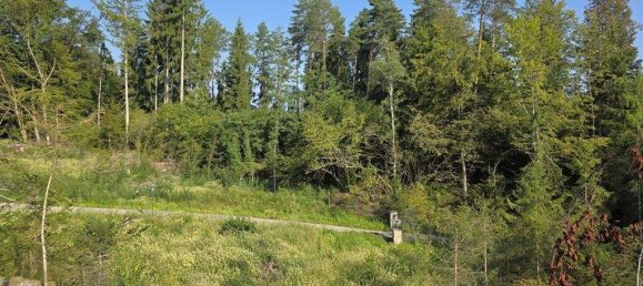 Terreno en Moosburg, Austria No. 239311 12