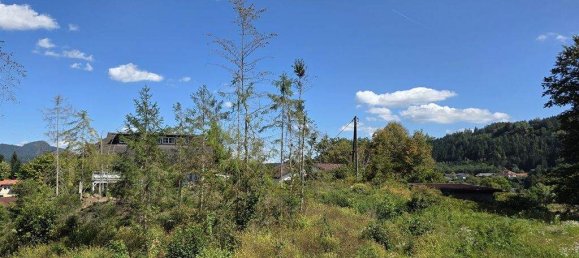 Terreno en Moosburg, Austria No. 239311 6