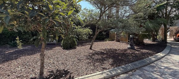 4 bedrooms Villa in Petrer, Spain No. 155435 20