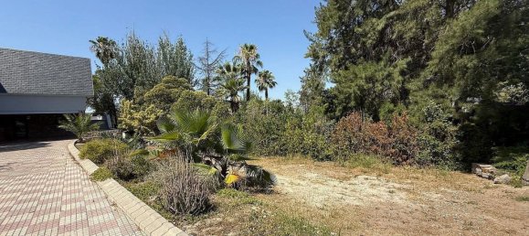 4 bedrooms Villa in Petrer, Spain No. 155435 19