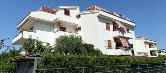 3 rooms Apartment in Diamante, Italy No. 281195 2