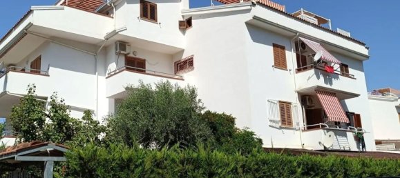 3 rooms Apartment in Diamante, Italy No. 281195 4