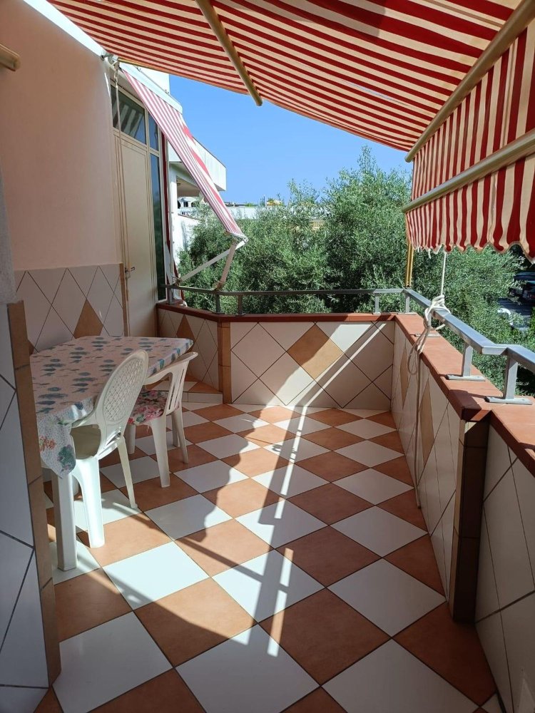 3 rooms Apartment in Diamante, Italy No. 281195