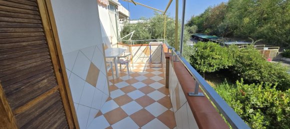 3 rooms Apartment in Diamante, Italy No. 281195 17