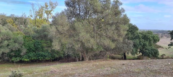 قطعة أرض في Grandola, Portugal 135750متر مربع رقم 70899 9