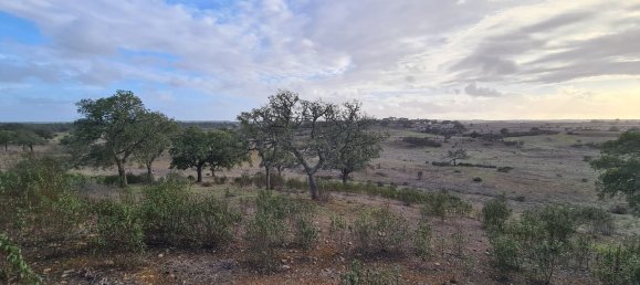 قطعة أرض في Grandola, Portugal 135750متر مربع رقم 70899 12