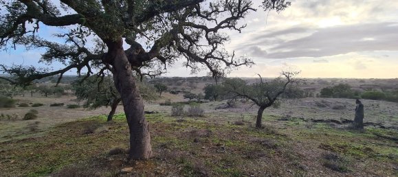 قطعة أرض في Grandola, Portugal 135750متر مربع رقم 70899 11