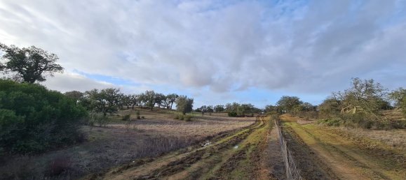 قطعة أرض في Grandola, Portugal 135750متر مربع رقم 70899 4