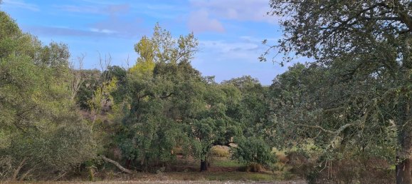 قطعة أرض في Grandola, Portugal 135750متر مربع رقم 70899 7