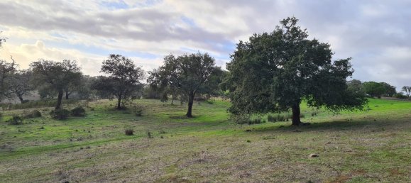 قطعة أرض في Grandola, Portugal 135750متر مربع رقم 70899 6