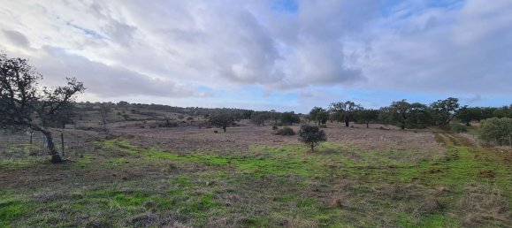 قطعة أرض في Grandola, Portugal 135750متر مربع رقم 70899 3