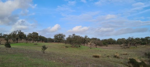 قطعة أرض في Grandola, Portugal 135750متر مربع رقم 70899 5