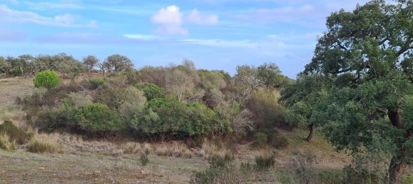 قطعة أرض في Grandola, Portugal 135750متر مربع رقم 70899 8