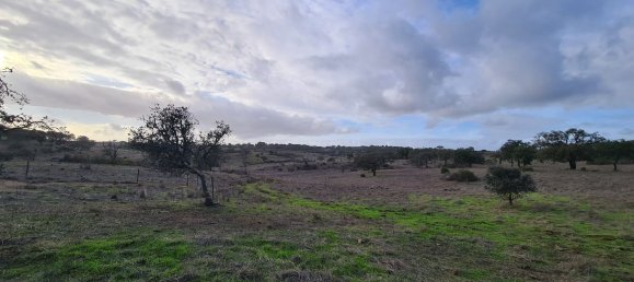 قطعة أرض في Grandola, Portugal 135750متر مربع رقم 70899 2