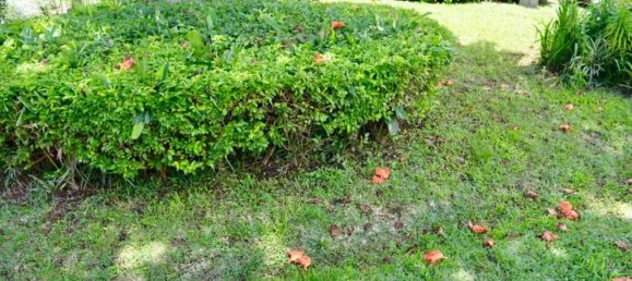 Grundstück in San Isidro, Costa Rica, Nr. 1646 6