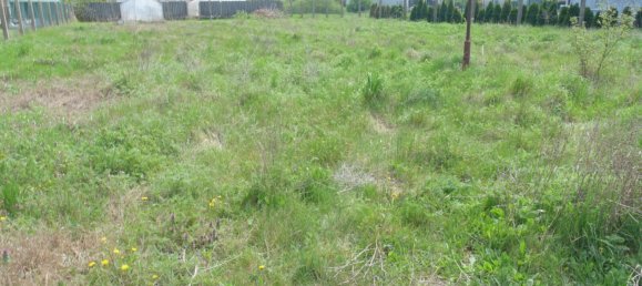 Земельный участок в Дойч-Ваграм, Австрия № 136731 7