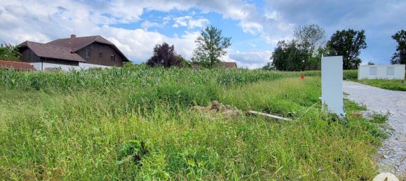 Terrain à Riedau, Austria No. 15383 5