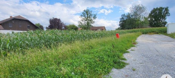 Terrain à Riedau, Austria No. 15383 3