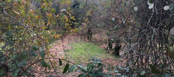 4 bedrooms House in Cantelaes, Portugal No. 42977 4