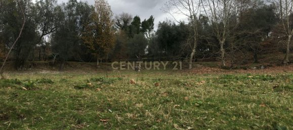 4 bedrooms House in Cantelaes, Portugal No. 42977 11