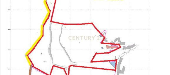 4 bedrooms House in Cantelaes, Portugal No. 42977 8