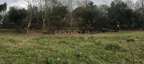 4 bedrooms House in Cantelaes, Portugal No. 42977 12