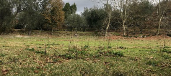 4 bedrooms House in Cantelaes, Portugal No. 42977 6