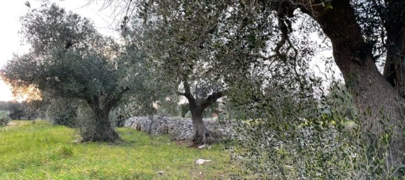 3 rooms House in Ceglie Messapica, Italy No. 172273 33