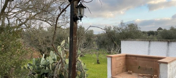 3 rooms House in Ceglie Messapica, Italy No. 172273 4