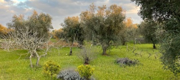 3 rooms House in Ceglie Messapica, Italy No. 172273 29