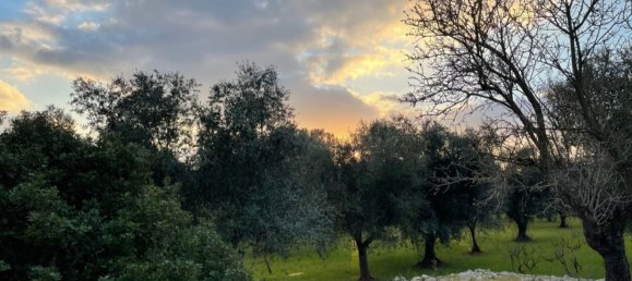 3 rooms House in Ceglie Messapica, Italy No. 172273 32