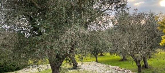 3 rooms House in Ceglie Messapica, Italy No. 172273 8