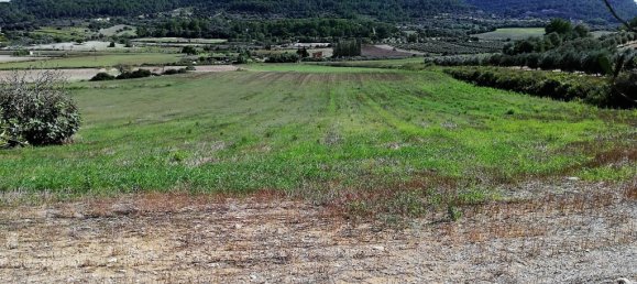  Land in Algaida, Spain No. 73199 7