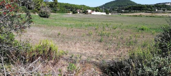  Land in Algaida, Spain No. 73199 5