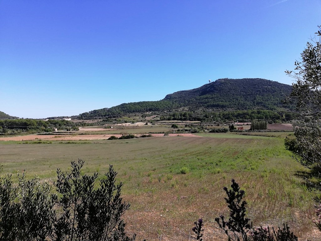  Land in Algaida, Spain No. 73199