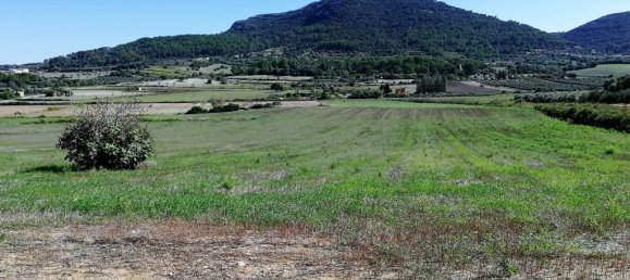  Land in Algaida, Spain No. 73199 8