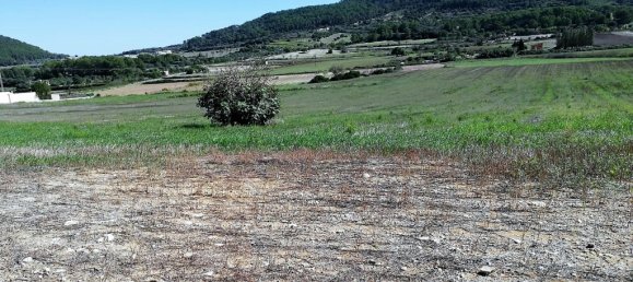  Land in Algaida, Spain No. 73199 4