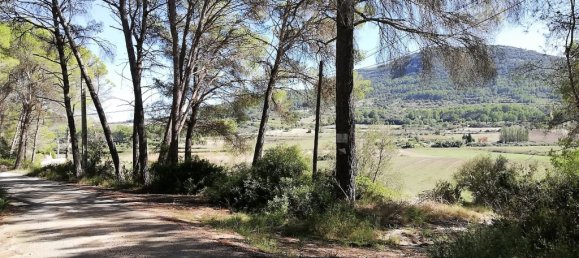  Land in Algaida, Spain No. 73199 10