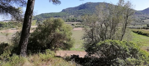  Land in Algaida, Spain No. 73199 9