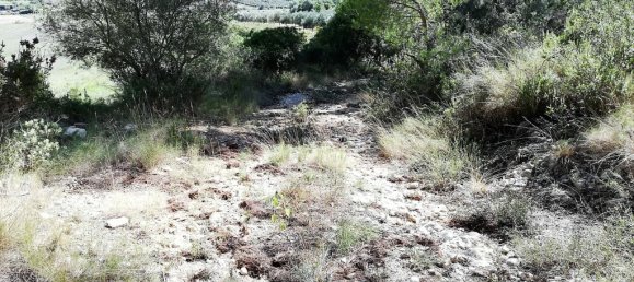  Land in Algaida, Spain No. 73199 3