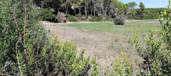  Land in Algaida, Spain No. 73199 2