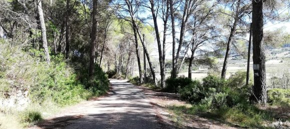  Land in Algaida, Spain No. 73199 11