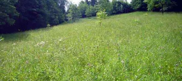 2 rooms House in Berbenno, Italy No. 87578 4