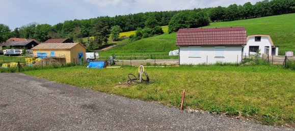  Land in Wilhelmsburg, Austria No. 27477 4