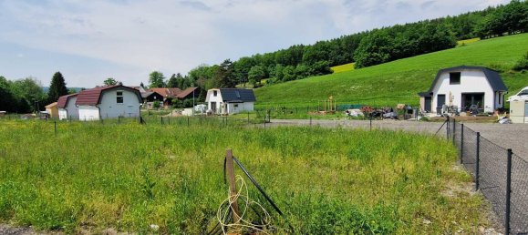  Land in Wilhelmsburg, Austria No. 27477 8