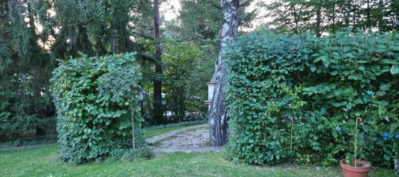  Land in Breitenfurt bei Wien, Austria No. 219424 4