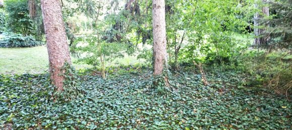  Land in Breitenfurt bei Wien, Austria No. 219424 6