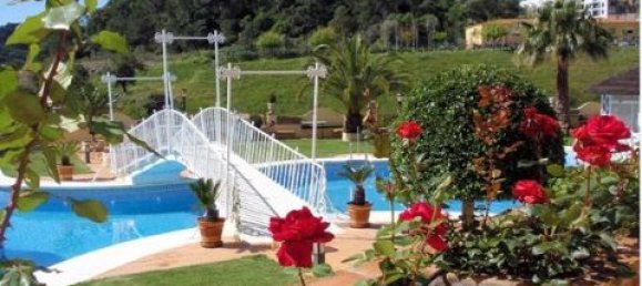 95 bedrooms Hotel in Malaga, Spain No. 120941 15